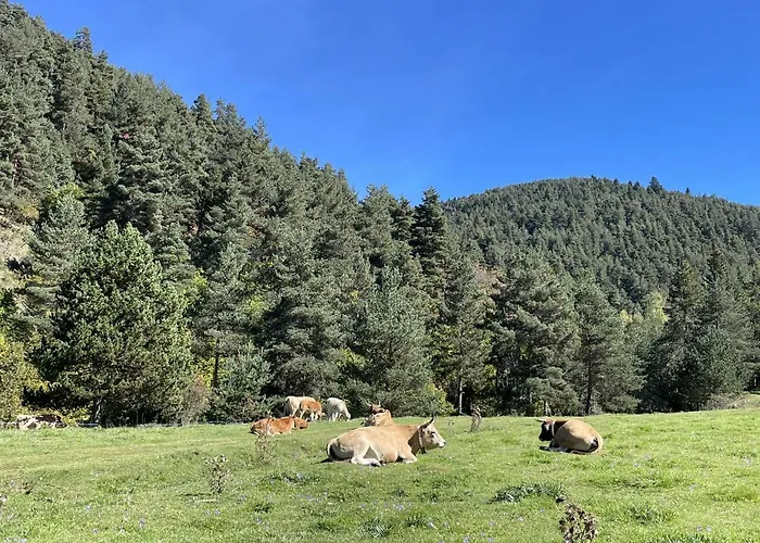 Apartamento La Molina