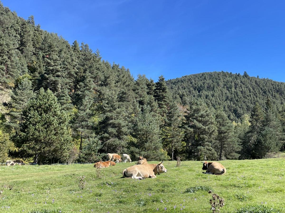 Apartament La Molina